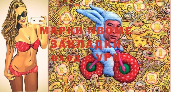 крисы Няндома