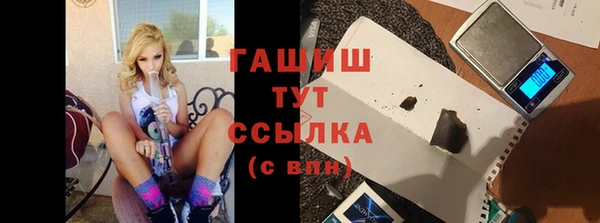 хмурый Новозыбков