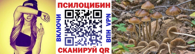 blacksprut ссылка  Краснокаменск  Галлюциногенные грибы ЛСД 