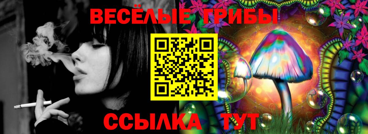 где купить наркотик  Краснокаменск  Псилоцибиновые грибы Psilocybe 