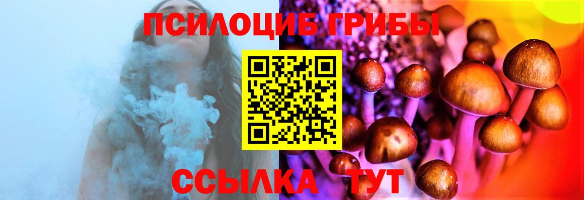 Краснокаменск  Галлюциногенные грибы ЛСД  Вход с VPN 
